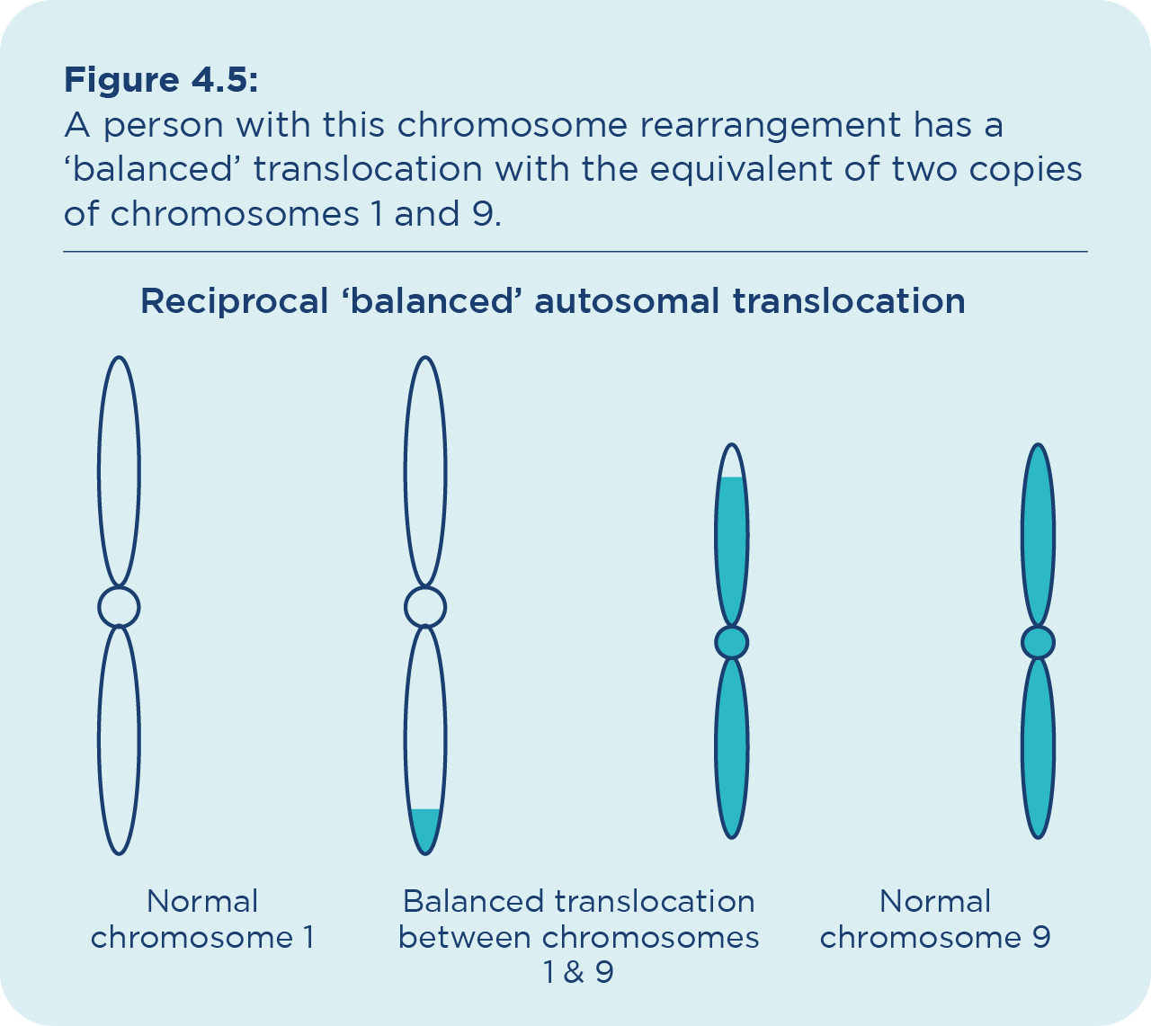 Chromosomal abnormalities and IVF: what you need to know