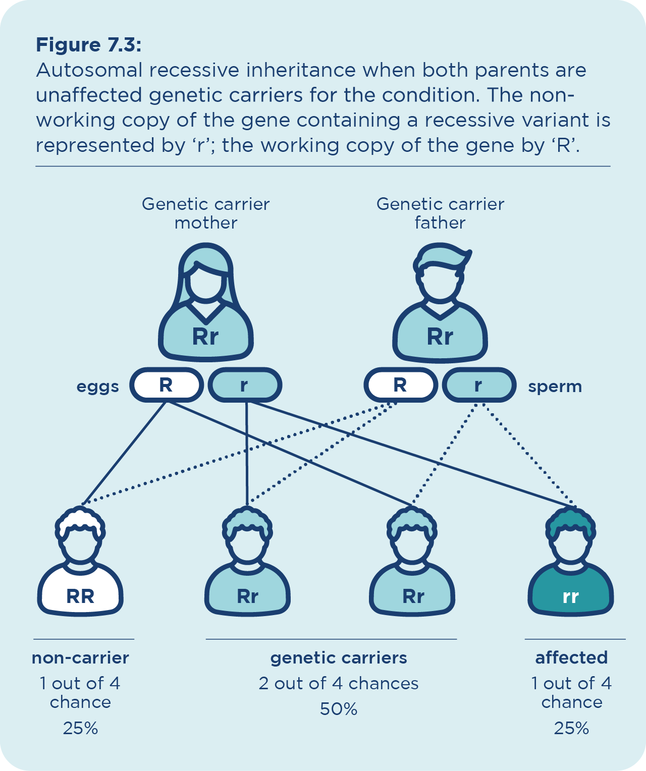 recessive definition