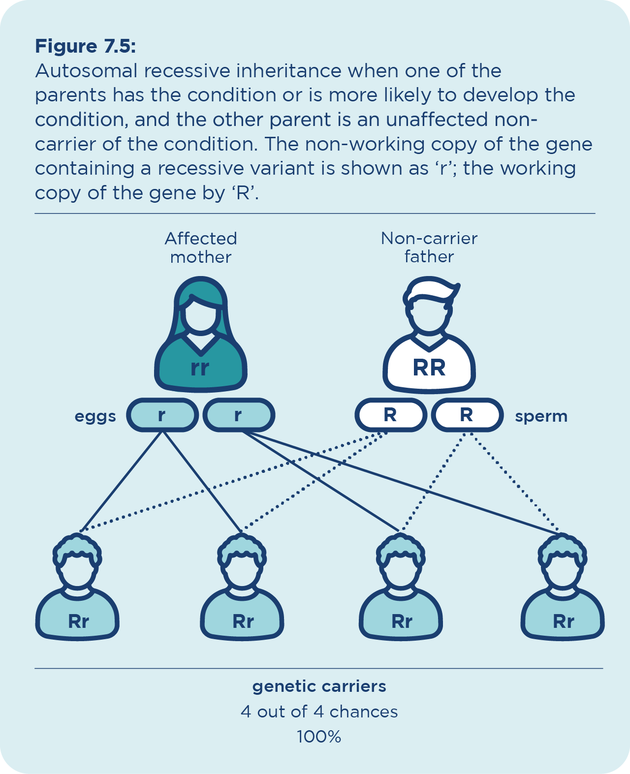 autosomal recessive inheritance